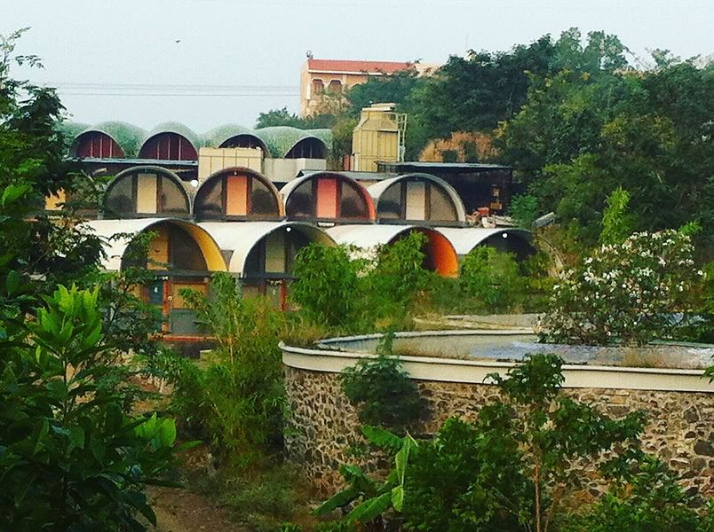 Serene Path at Triveni Ashram